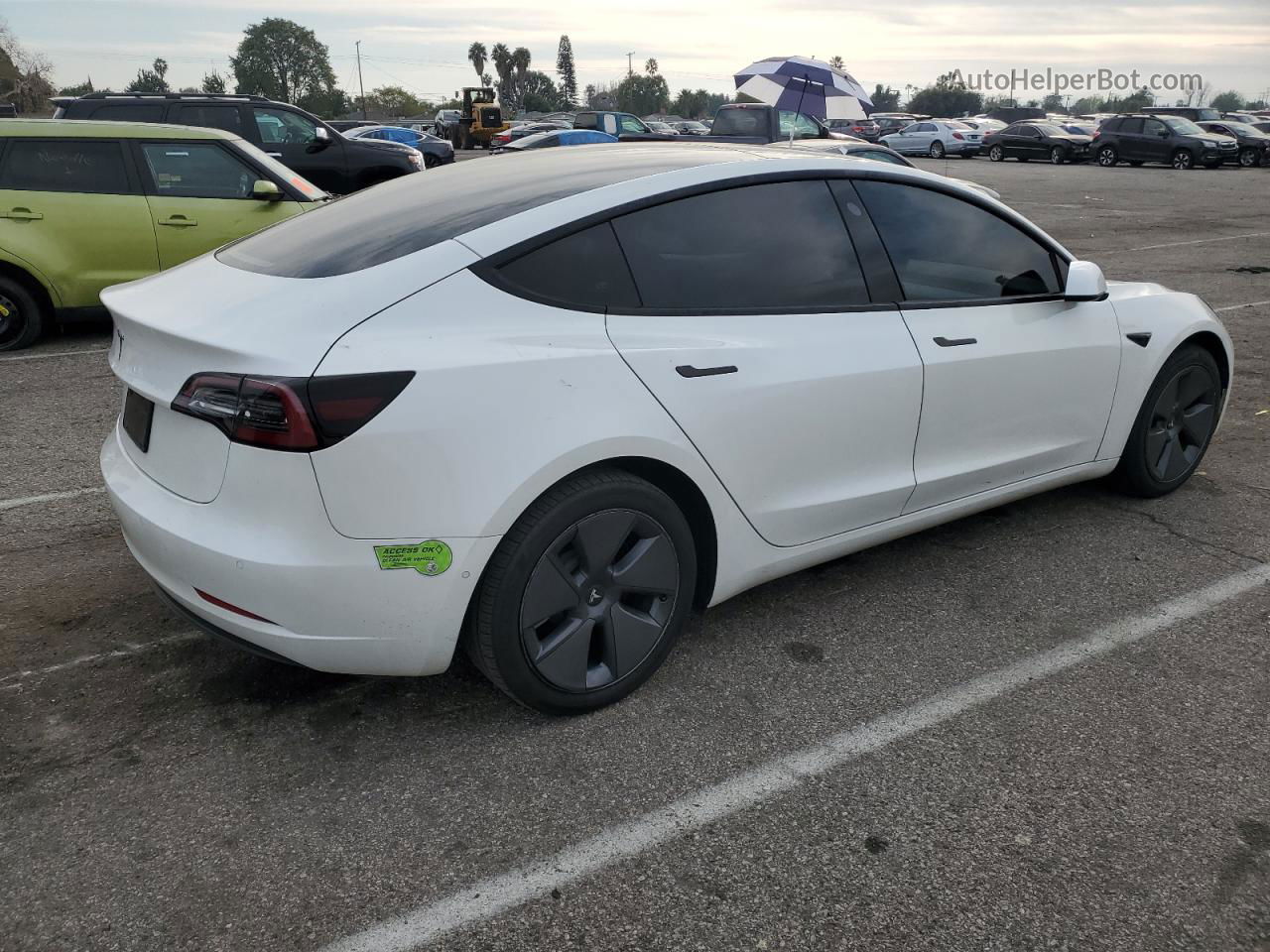 2022 Tesla Model 3  White vin: 5YJ3E1EA6NF322897