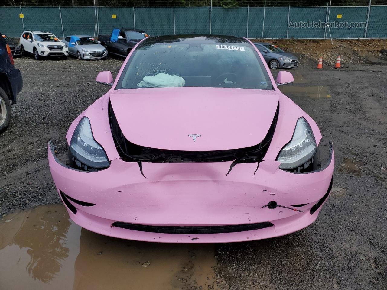 2019 Tesla Model 3  Pink vin: 5YJ3E1EA7KF324041