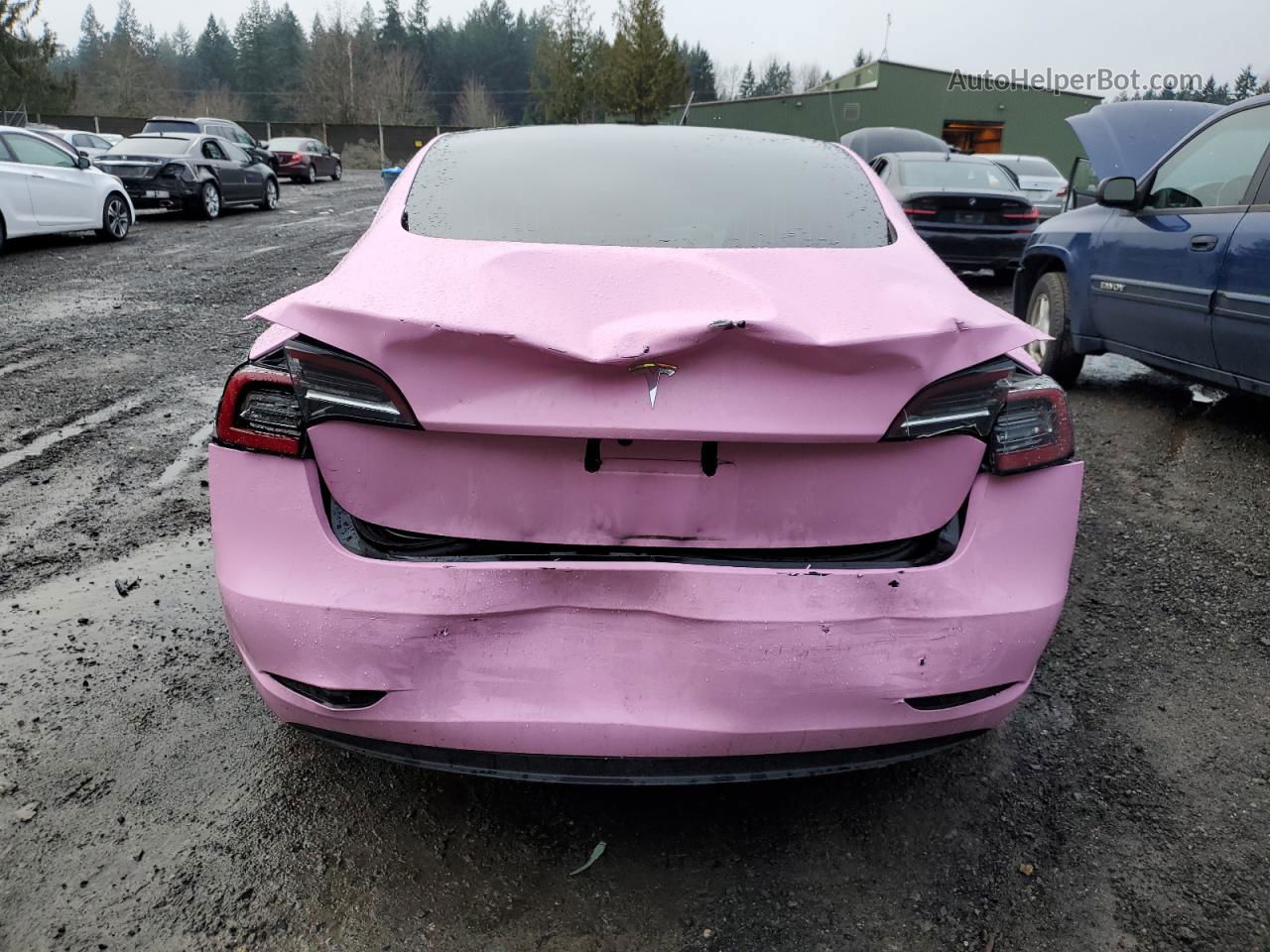 2019 Tesla Model 3  Pink vin: 5YJ3E1EA7KF324041