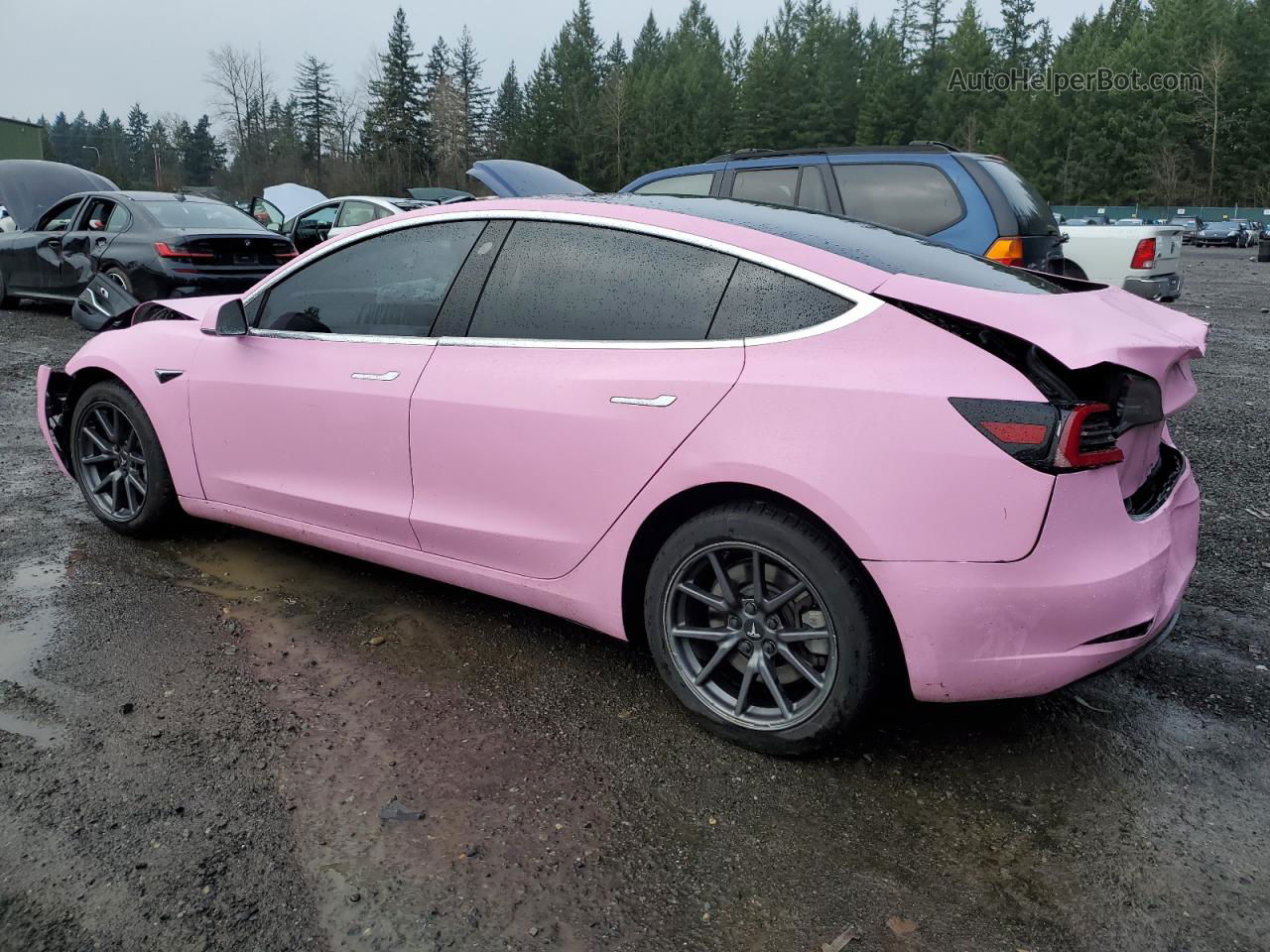 2019 Tesla Model 3  Pink vin: 5YJ3E1EA7KF324041