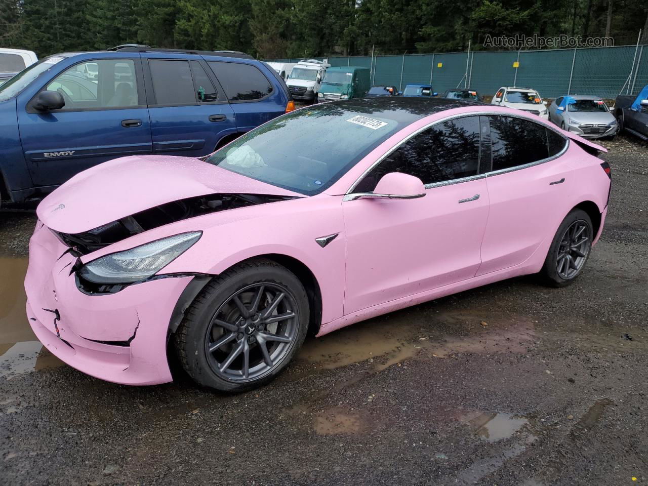 2019 Tesla Model 3  Pink vin: 5YJ3E1EA7KF324041