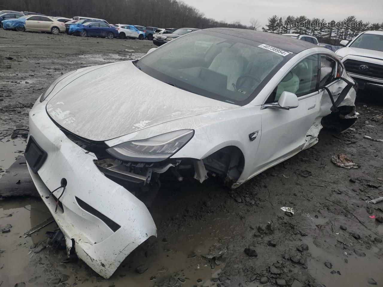 2019 Tesla Model 3  White vin: 5YJ3E1EA7KF324797