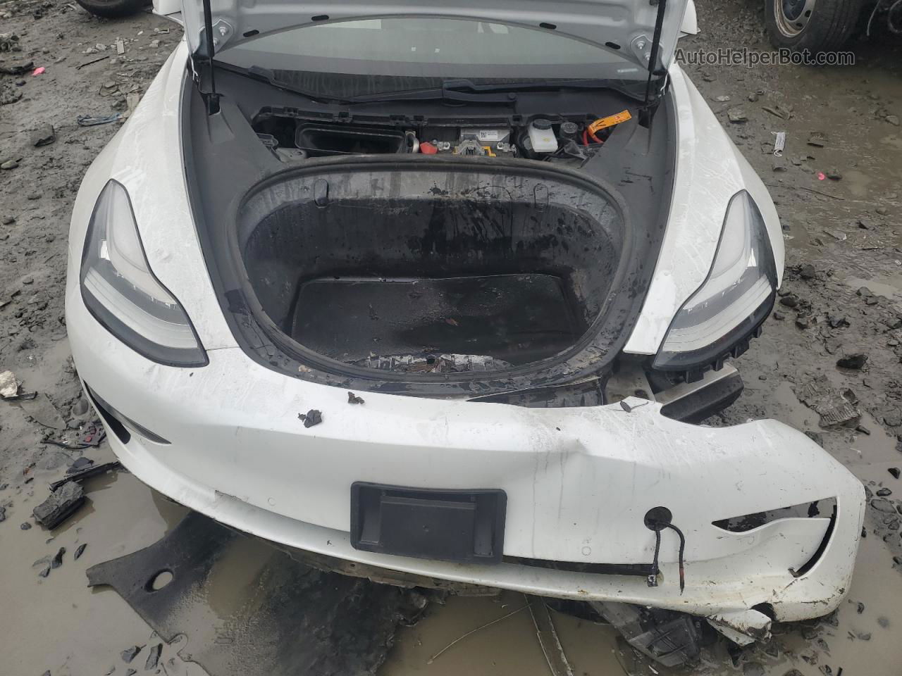 2019 Tesla Model 3  White vin: 5YJ3E1EA7KF324797