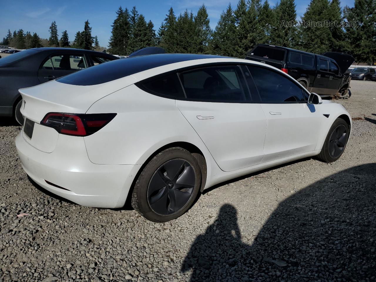 2020 Tesla Model 3  White vin: 5YJ3E1EA7LF597661