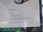 2020 Tesla Model 3 Standard Range Plus Rear-wheel Drive/standard Range Rear-wheel Drive White vin: 5YJ3E1EA7LF710024