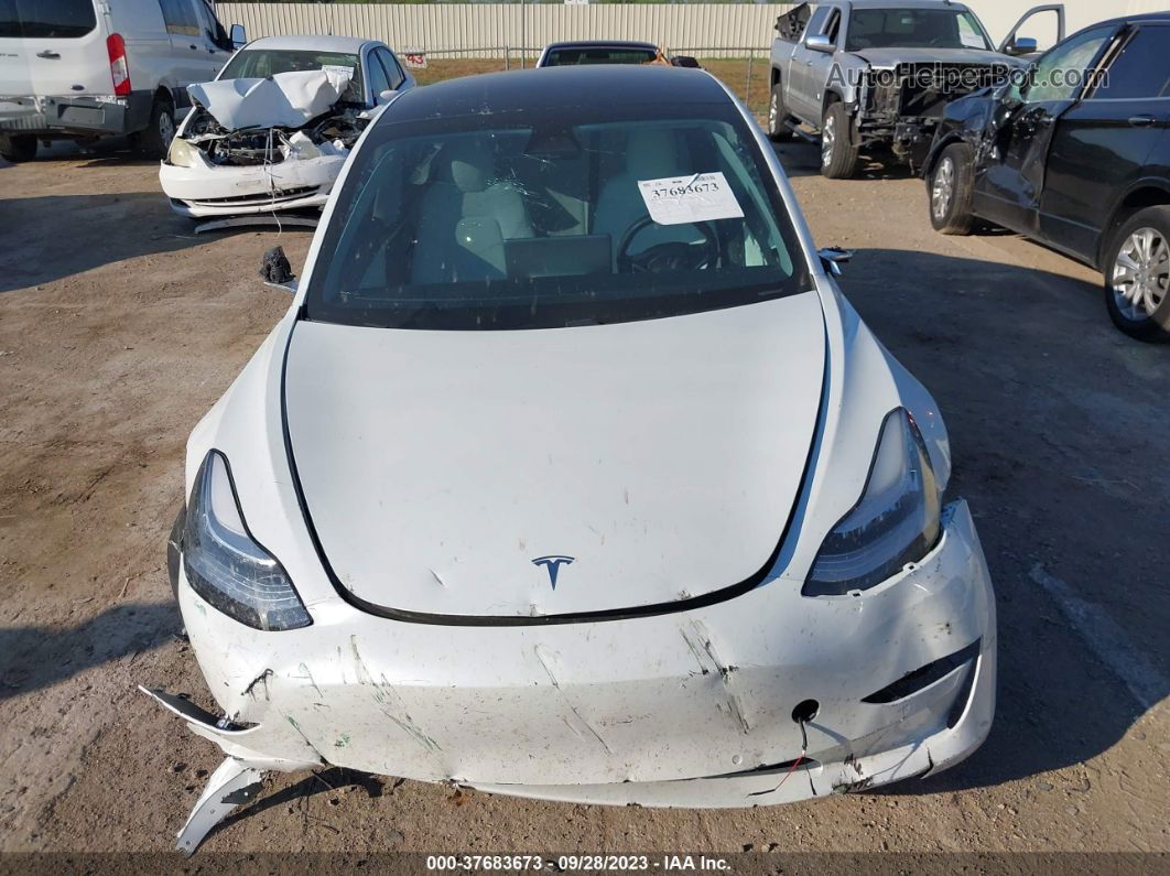 2020 Tesla Model 3 Standard Range Plus Rear-wheel Drive/standard Range Rear-wheel Drive White vin: 5YJ3E1EA7LF710024