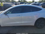 2020 Tesla Model 3 Standard Range Plus Rear-wheel Drive/standard Range Rear-wheel Drive White vin: 5YJ3E1EA7LF710024