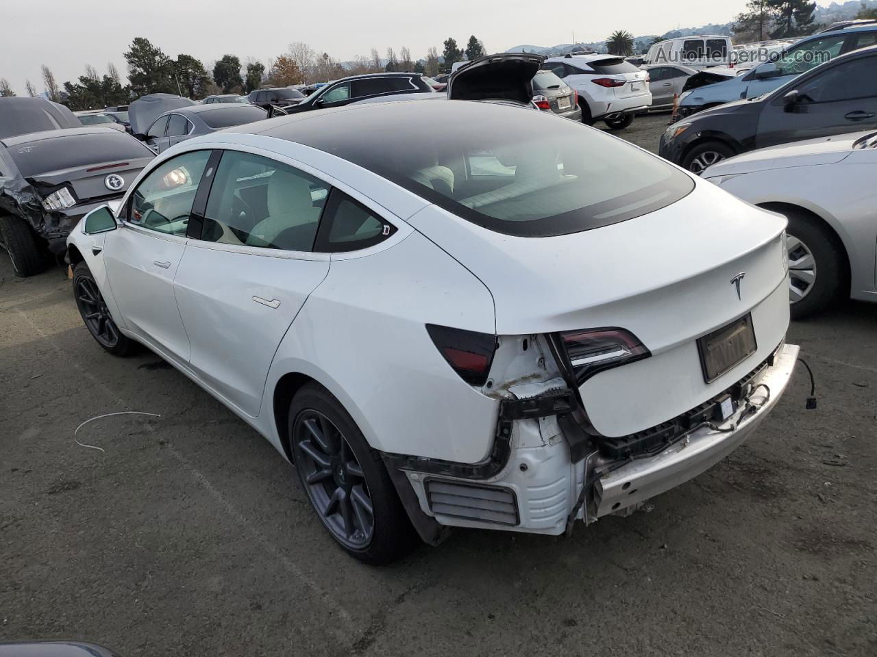 2020 Tesla Model 3  White vin: 5YJ3E1EA7LF808129