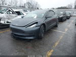 2021 Tesla Model 3 Standard Range Plus Rear-wheel Drive Gray vin: 5YJ3E1EA7MF014538