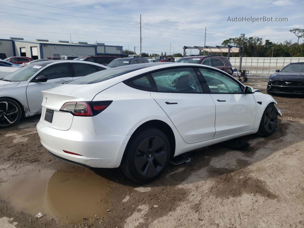 2021 Tesla Model 3  White vin: 5YJ3E1EA7MF047572