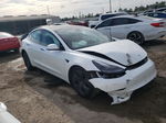 2021 Tesla Model 3  White vin: 5YJ3E1EA7MF047572