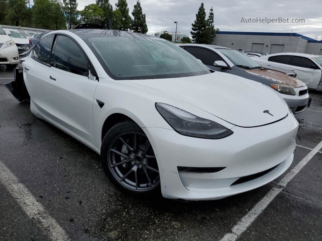 2021 Tesla Model 3  White vin: 5YJ3E1EA7MF063576