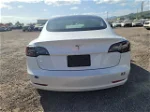 2021 Tesla Model 3  White vin: 5YJ3E1EA7MF908796