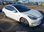 2019 Tesla Model 3 Long Range/mid Range/standard Range/standard Range Plus White vin: 5YJ3E1EA8KF299781