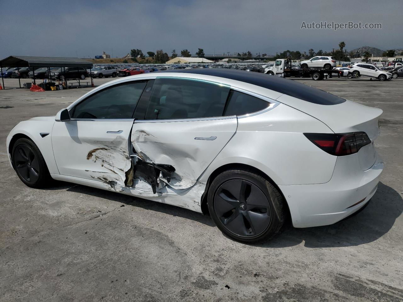 2019 Tesla Model 3  White vin: 5YJ3E1EA8KF327207