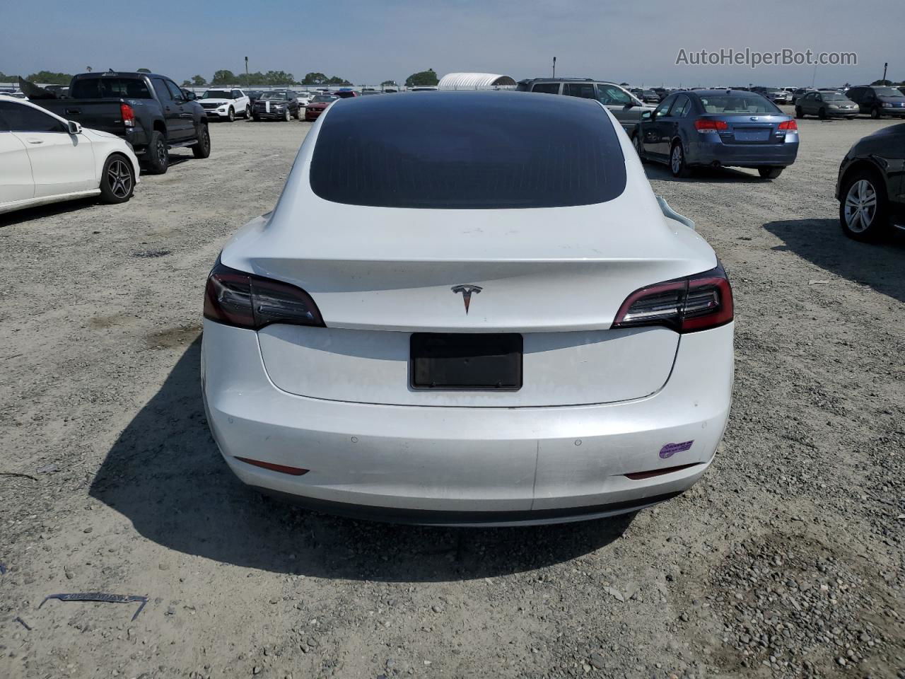 2019 Tesla Model 3  White vin: 5YJ3E1EA8KF434550