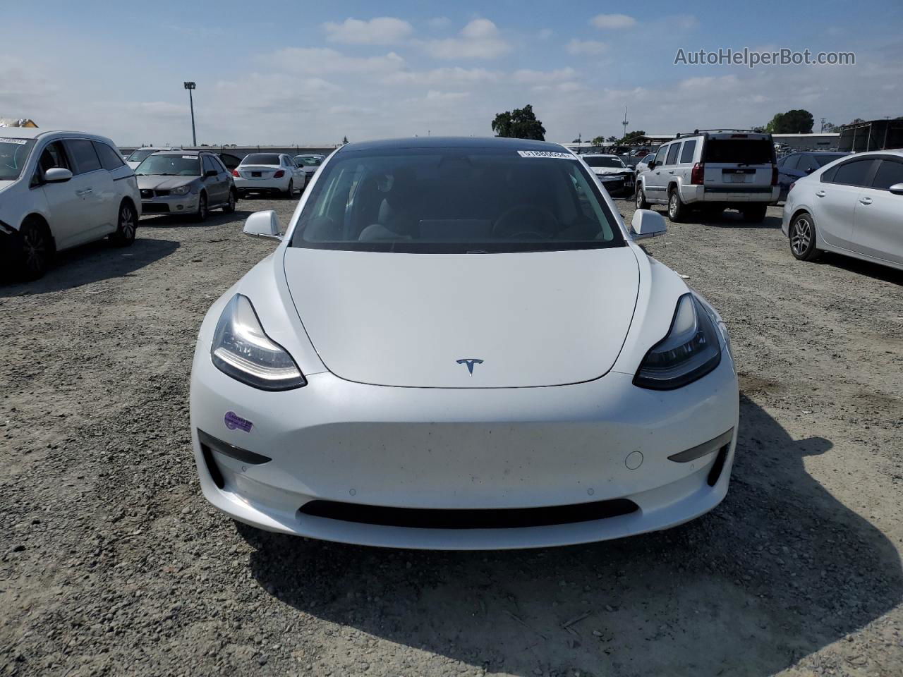 2019 Tesla Model 3  White vin: 5YJ3E1EA8KF434550