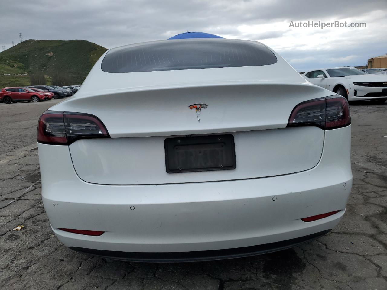 2020 Tesla Model 3  White vin: 5YJ3E1EA8LF659343