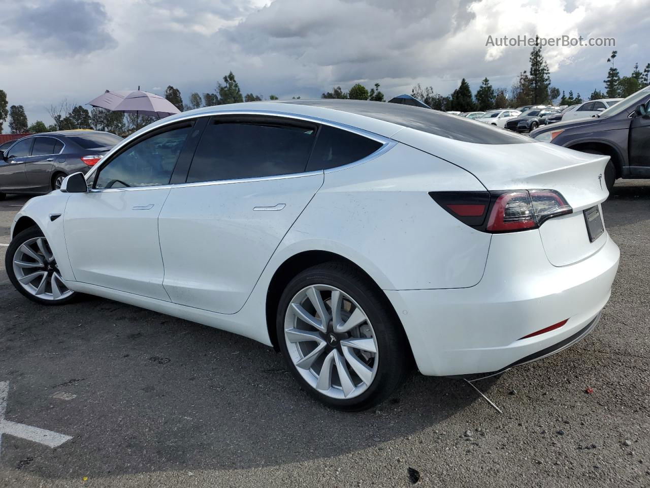 2020 Tesla Model 3  White vin: 5YJ3E1EA8LF717757