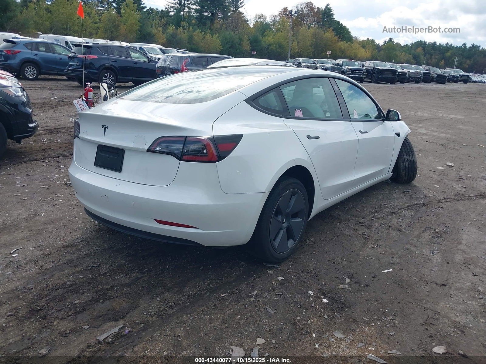 Price & History 2023 Tesla Model 3 Rear-wheel Drive vin ...