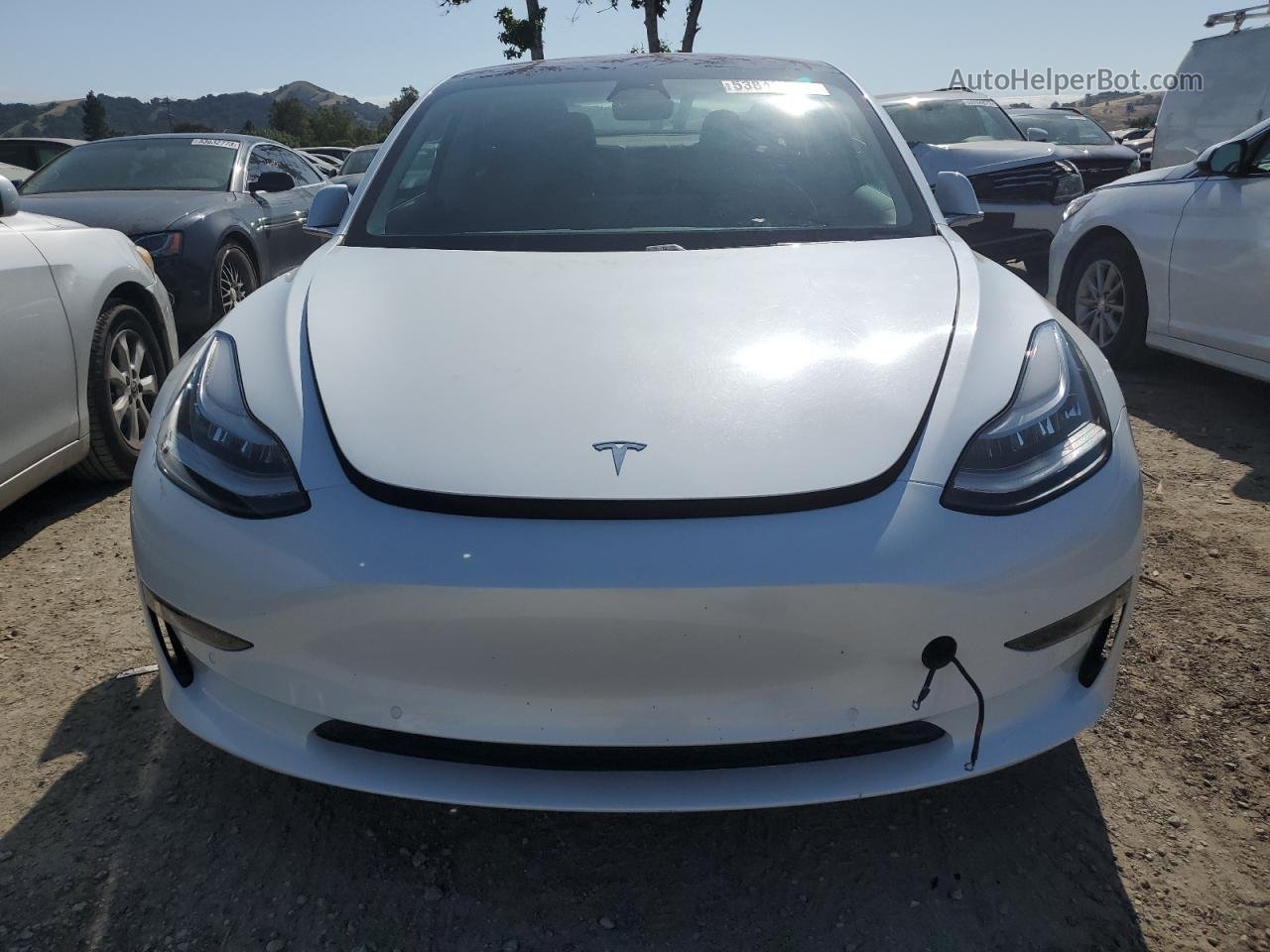 2019 Tesla Model 3  Белый vin: 5YJ3E1EA9KF310111