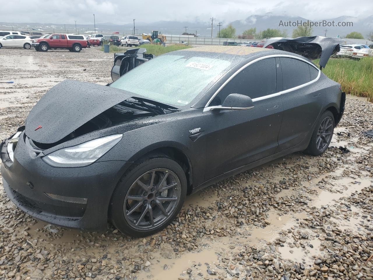 2019 Tesla Model 3  Black vin: 5YJ3E1EA9KF324672