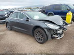 2019 Tesla Model 3 Long Range/mid Range/standard Range/standard Range Plus Gray vin: 5YJ3E1EA9KF325515