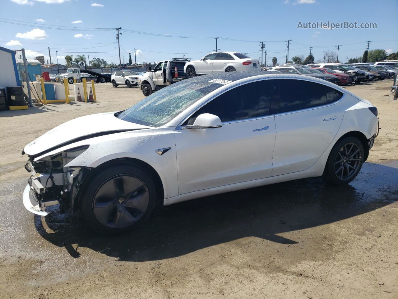 2019 Tesla Model 3  White vin: 5YJ3E1EA9KF397184