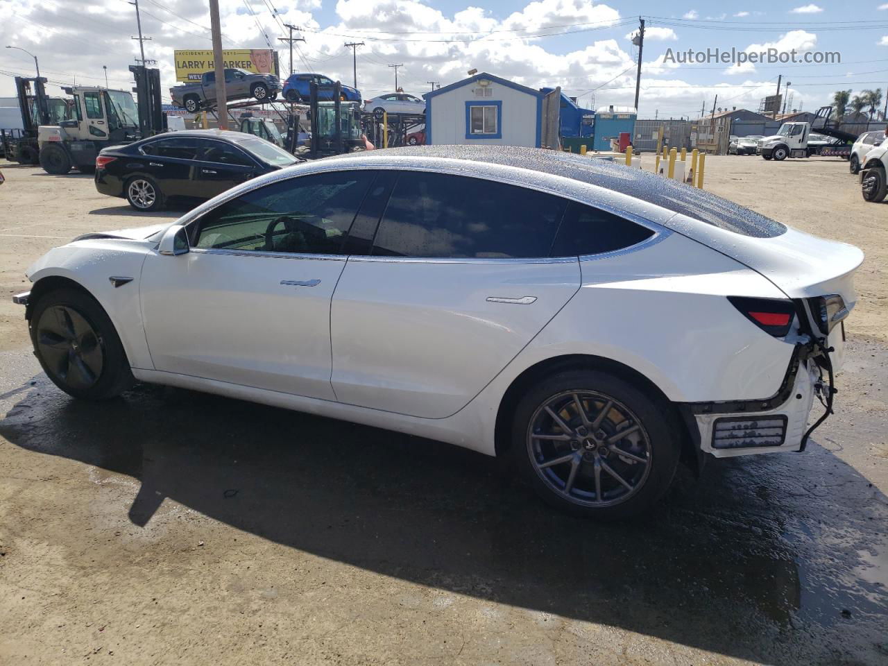 2019 Tesla Model 3  White vin: 5YJ3E1EA9KF397184