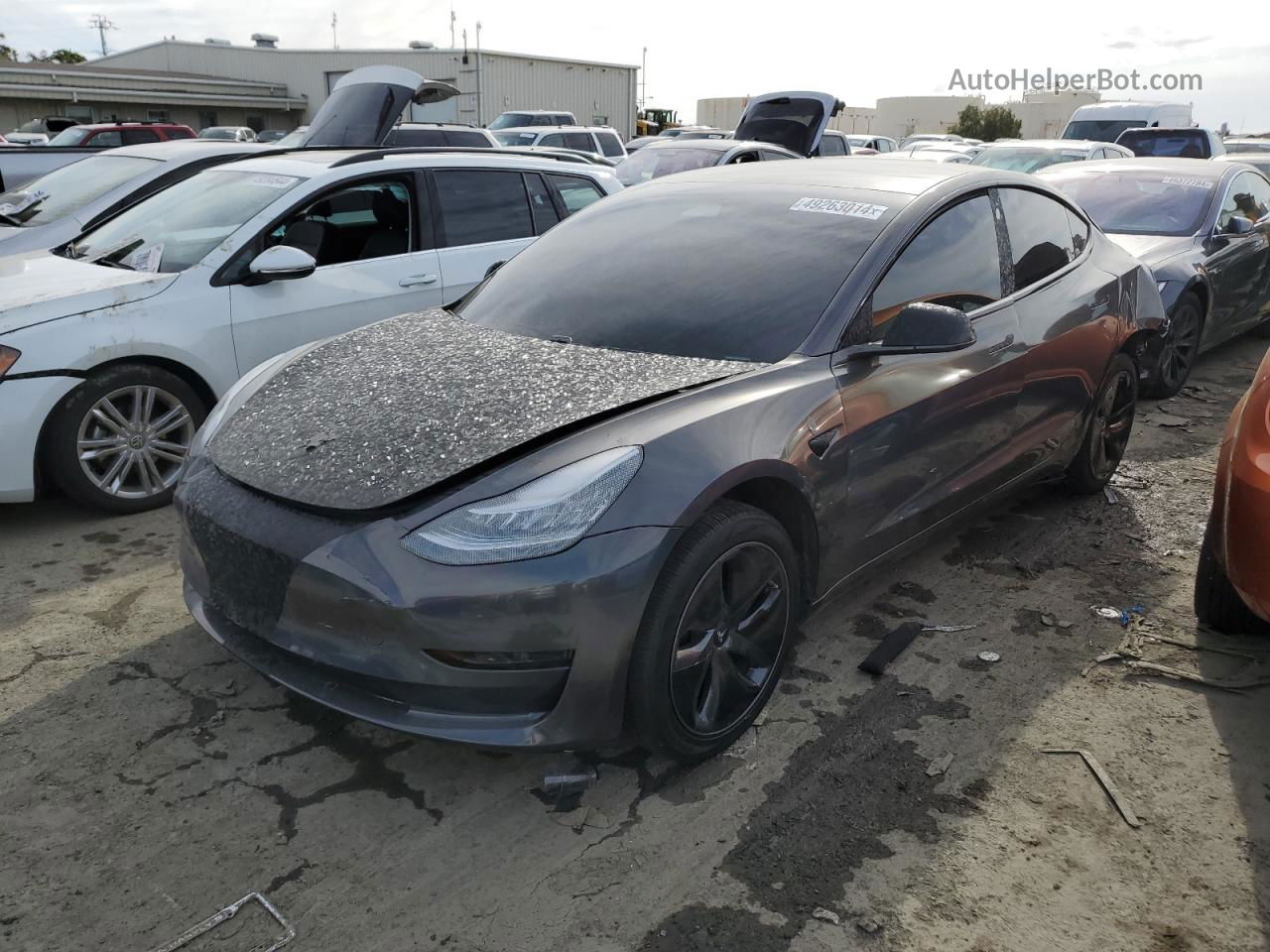 2019 Tesla Model 3  Синий vin: 5YJ3E1EA9KF400830