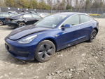 2019 Tesla Model 3  Blue vin: 5YJ3E1EA9KF411858