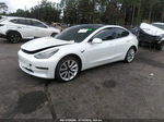 2019 Tesla Model 3 Mid Range/standard Range/standard Range Plus/long Range White vin: 5YJ3E1EA9KF466505