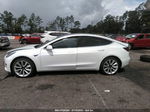 2019 Tesla Model 3 Mid Range/standard Range/standard Range Plus/long Range Белый vin: 5YJ3E1EA9KF466505