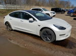 2020 Tesla Model 3  White vin: 5YJ3E1EA9LF598018