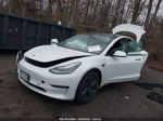 2020 Tesla Model 3 Standard Range Plus Rear-wheel Drive/standard Range Rear-wheel Drive White vin: 5YJ3E1EA9LF737354