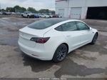 2020 Tesla Model 3 Standard Range Plus Rear-wheel Drive/standard Range Rear-wheel Drive White vin: 5YJ3E1EA9LF800081