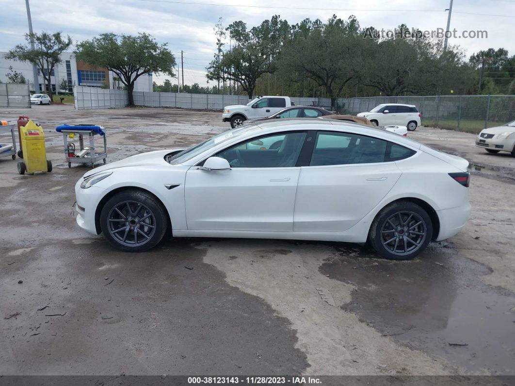 2020 Tesla Model 3 Standard Range Plus Rear-wheel Drive/standard Range Rear-wheel Drive White vin: 5YJ3E1EA9LF800081