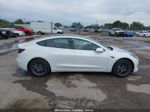 2020 Tesla Model 3 Standard Range Plus Rear-wheel Drive/standard Range Rear-wheel Drive White vin: 5YJ3E1EA9LF800081