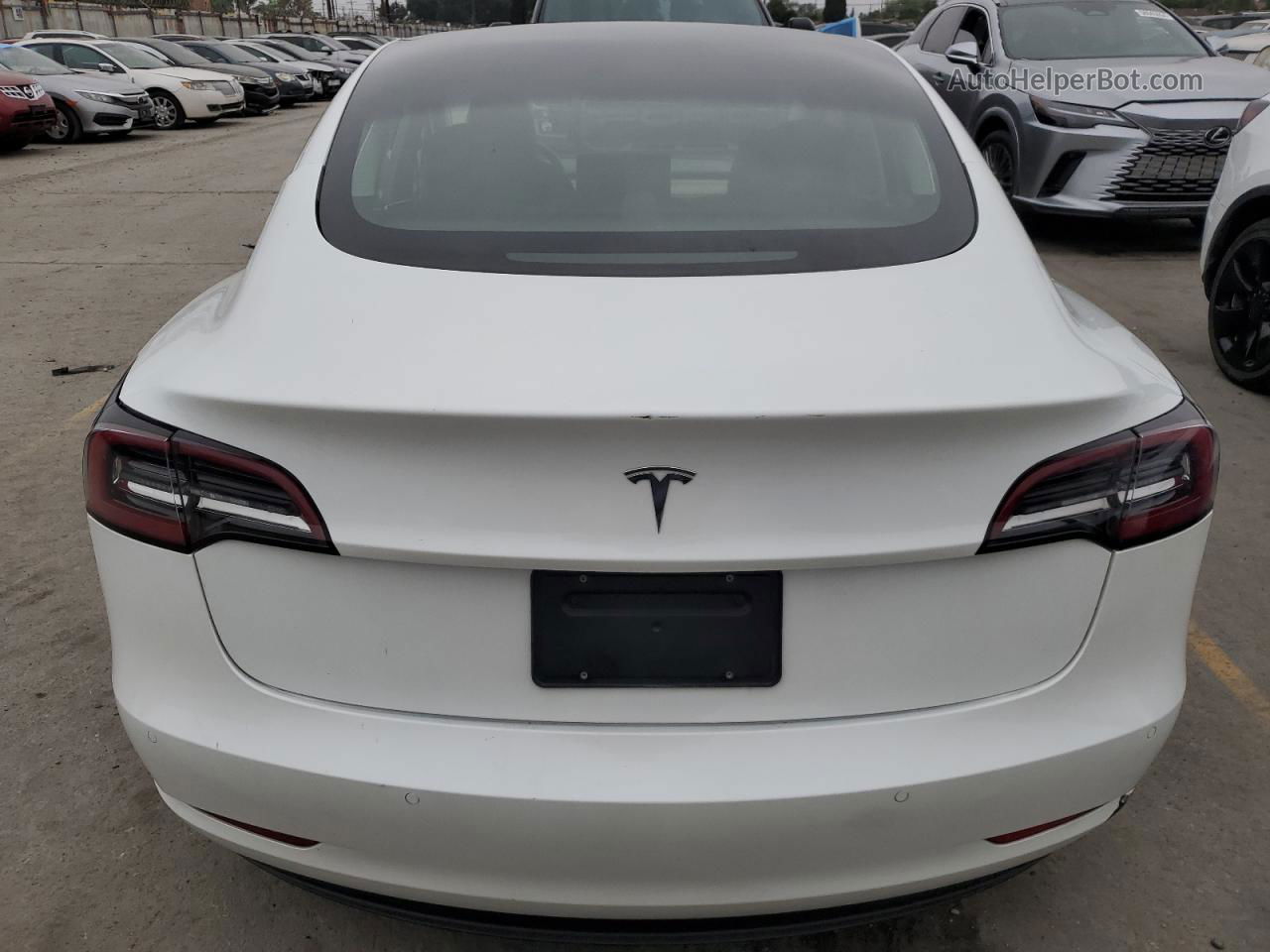 2021 Tesla Model 3  White vin: 5YJ3E1EA9MF022057