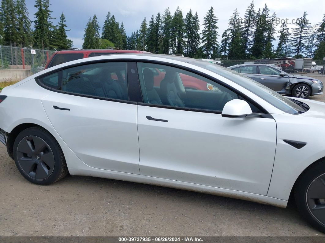 2021 Tesla Model 3 Standard Range Plus Rear-wheel Drive White vin: 5YJ3E1EA9MF871606