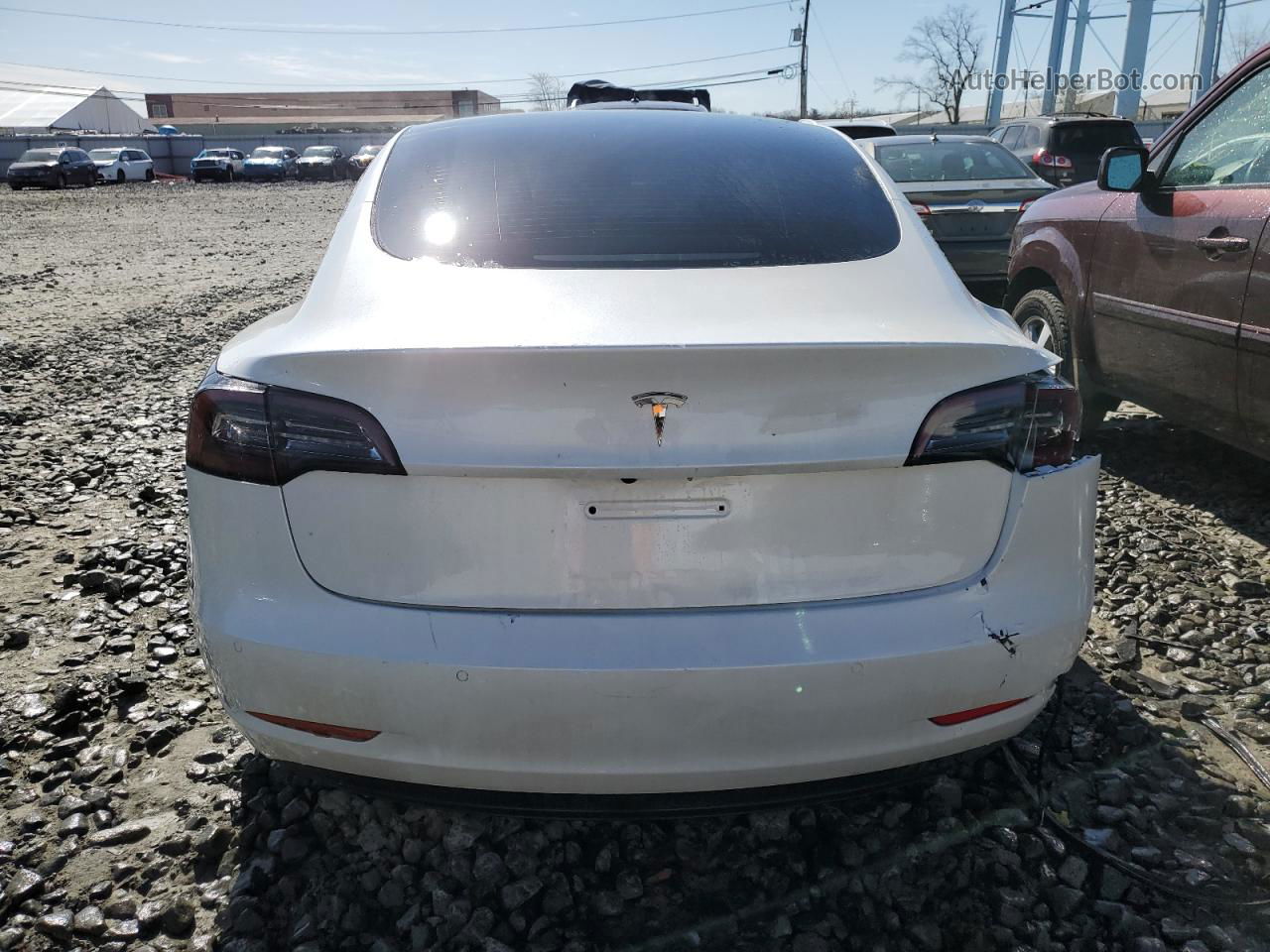 2021 Tesla Model 3  Белый vin: 5YJ3E1EA9MF989011