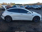 2019 Tesla Model 3 Long Range/mid Range/standard Range/standard Range Plus White vin: 5YJ3E1EAXKF313972