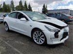 2019 Tesla Model 3  White vin: 5YJ3E1EAXKF436400