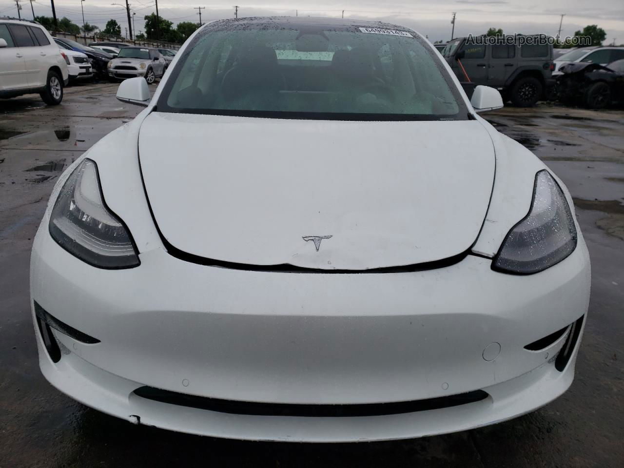 2019 Tesla Model 3  Белый vin: 5YJ3E1EAXKF466741