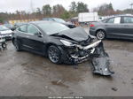 2020 Tesla Model 3 Standard Range Plus Rear-wheel Drive/standard Range Rear-wheel Drive Black vin: 5YJ3E1EAXLF427603