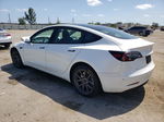 2020 Tesla Model 3  White vin: 5YJ3E1EAXLF504261