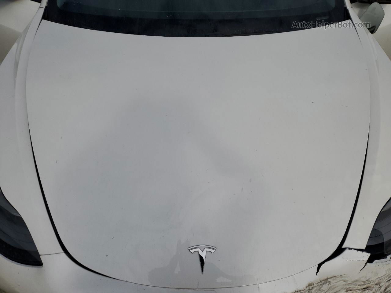 2021 Tesla Model 3  White vin: 5YJ3E1EAXMF006322