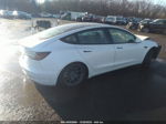 2021 Tesla Model 3 Standard Range Plus Rear-wheel Drive White vin: 5YJ3E1EAXMF064415