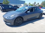 2021 Tesla Model 3 Standard Range Plus Rear-wheel Drive Gray vin: 5YJ3E1EAXMF837061