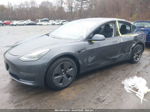 2021 Tesla Model 3 Standard Range Plus Rear-wheel Drive Gray vin: 5YJ3E1EAXMF976705